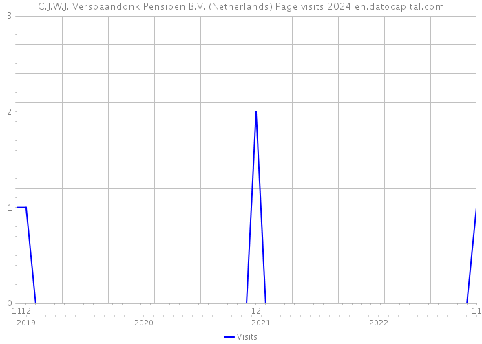 C.J.W.J. Verspaandonk Pensioen B.V. (Netherlands) Page visits 2024 