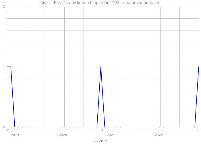Rivero B.V. (Netherlands) Page visits 2024 