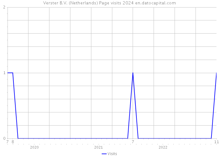 Verster B.V. (Netherlands) Page visits 2024 