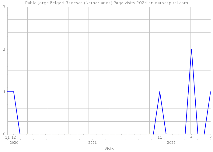 Pablo Jorge Belgeri Radesca (Netherlands) Page visits 2024 