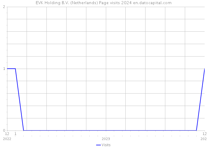 EVK Holding B.V. (Netherlands) Page visits 2024 