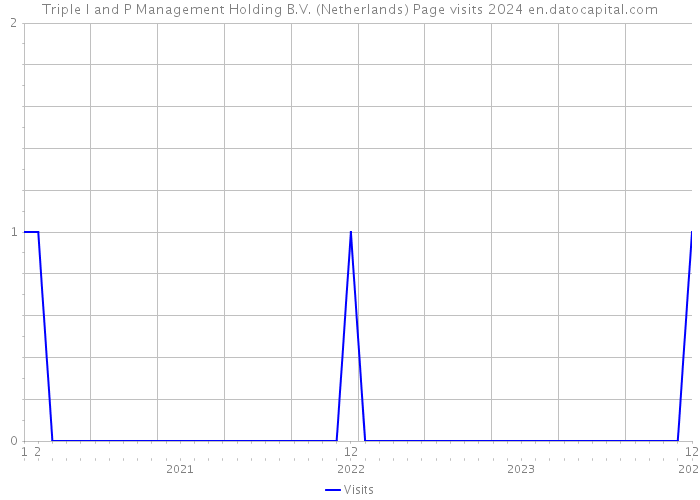 Triple I and P Management Holding B.V. (Netherlands) Page visits 2024 