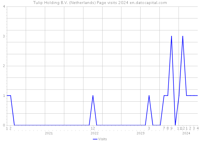 Tulip Holding B.V. (Netherlands) Page visits 2024 
