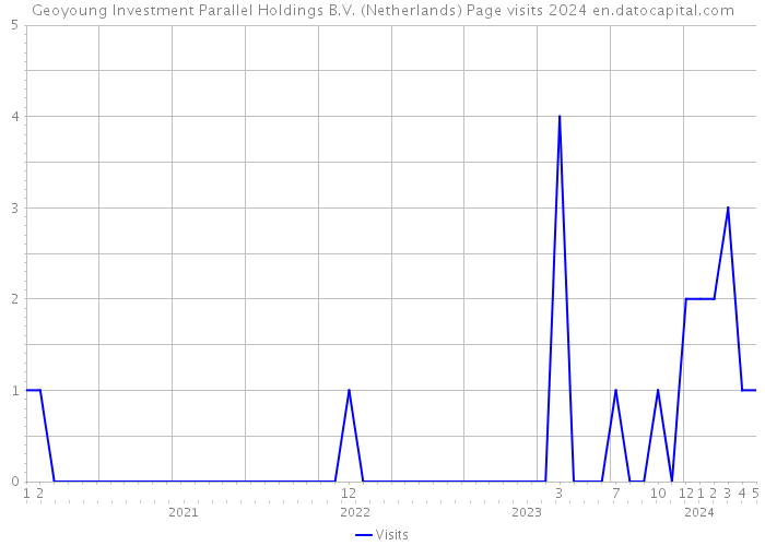 Geoyoung Investment Parallel Holdings B.V. (Netherlands) Page visits 2024 