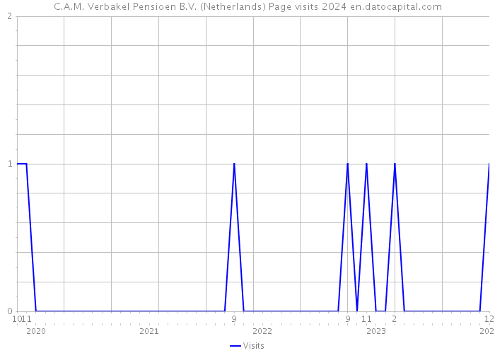C.A.M. Verbakel Pensioen B.V. (Netherlands) Page visits 2024 
