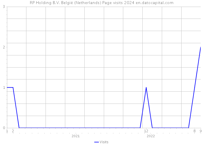 RP Holding B.V. België (Netherlands) Page visits 2024 