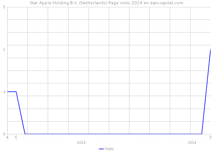 Star Apple Holding B.V. (Netherlands) Page visits 2024 