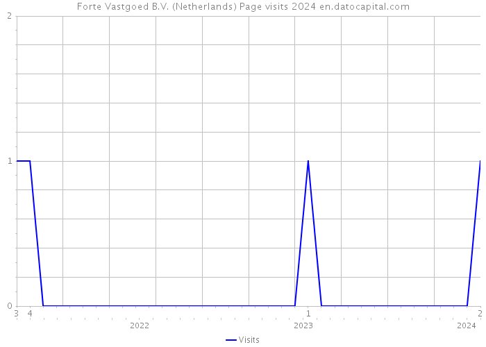 Forte Vastgoed B.V. (Netherlands) Page visits 2024 