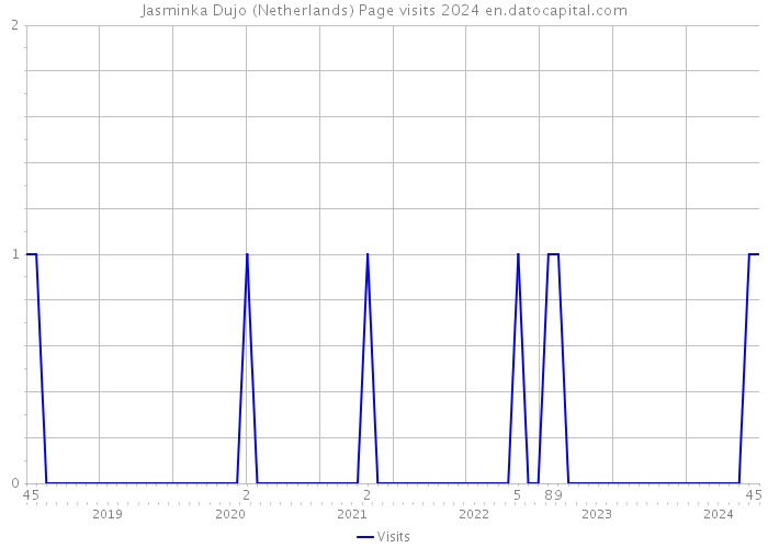 Jasminka Dujo (Netherlands) Page visits 2024 
