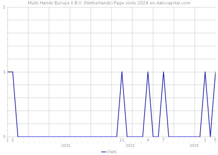 Multi Hands Europe II B.V. (Netherlands) Page visits 2024 