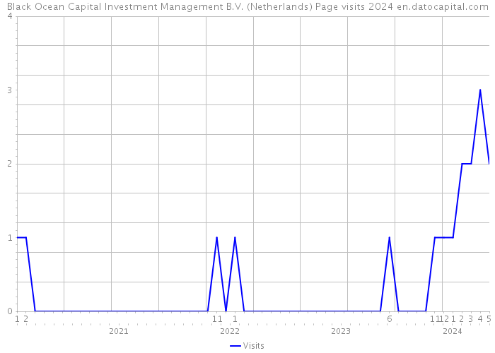 Black Ocean Capital Investment Management B.V. (Netherlands) Page visits 2024 
