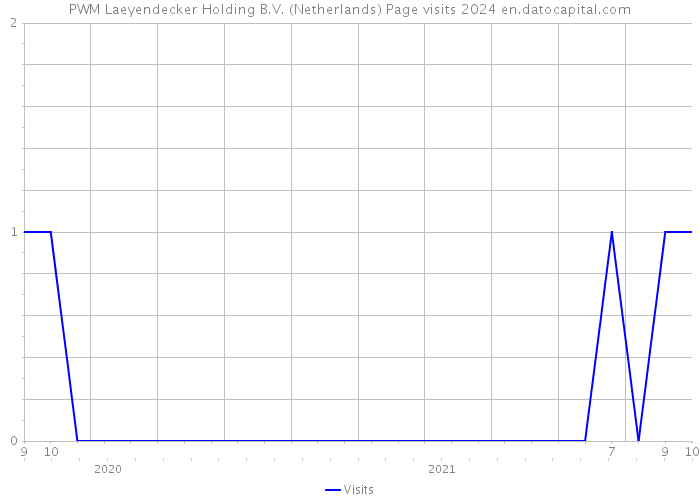 PWM Laeyendecker Holding B.V. (Netherlands) Page visits 2024 