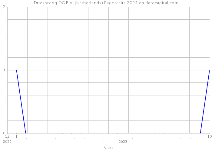 Driesprong OG B.V. (Netherlands) Page visits 2024 