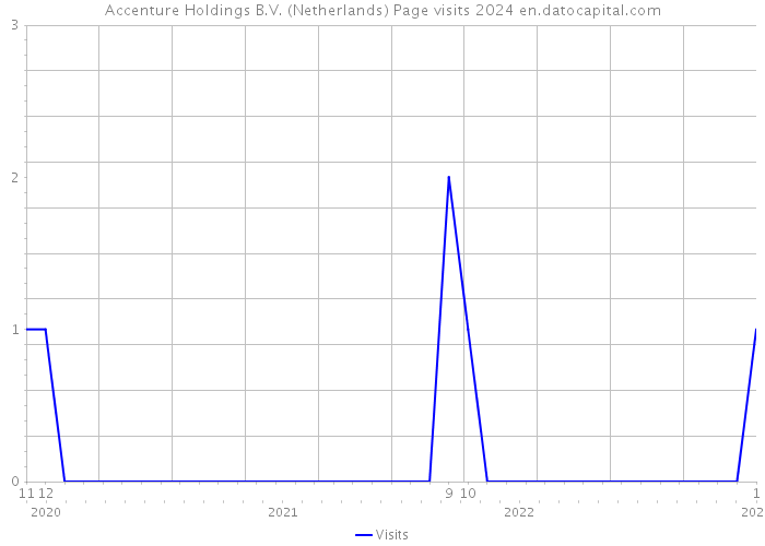Accenture Holdings B.V. (Netherlands) Page visits 2024 