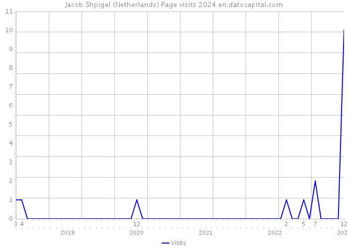 Jacob Shpigel (Netherlands) Page visits 2024 