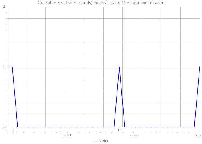 Cobridge B.V. (Netherlands) Page visits 2024 