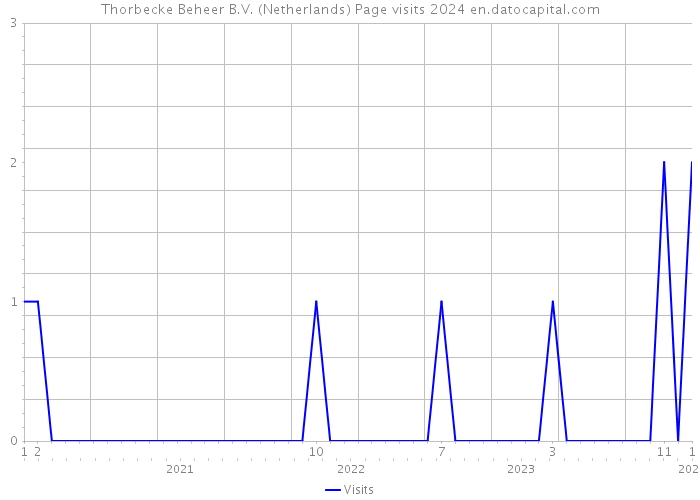 Thorbecke Beheer B.V. (Netherlands) Page visits 2024 