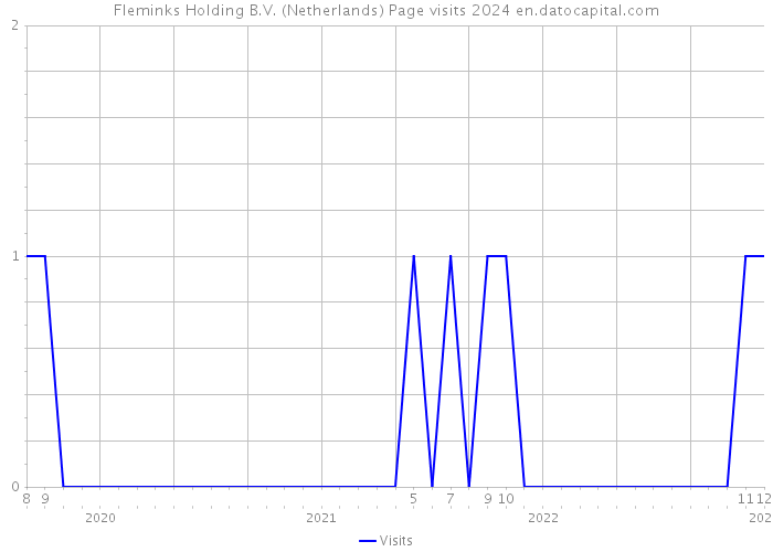 Fleminks Holding B.V. (Netherlands) Page visits 2024 