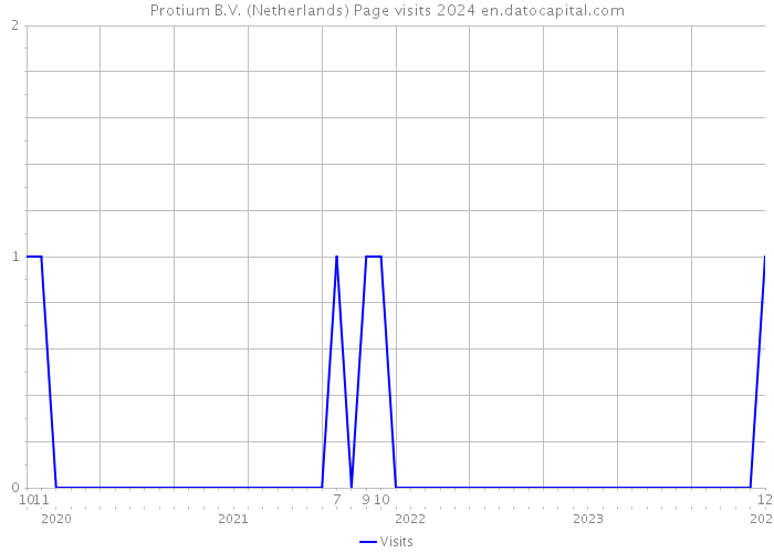 Protium B.V. (Netherlands) Page visits 2024 