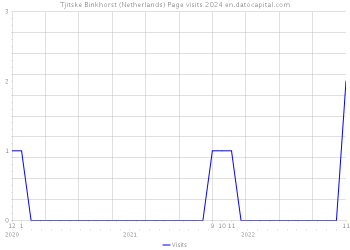 Tjitske Binkhorst (Netherlands) Page visits 2024 