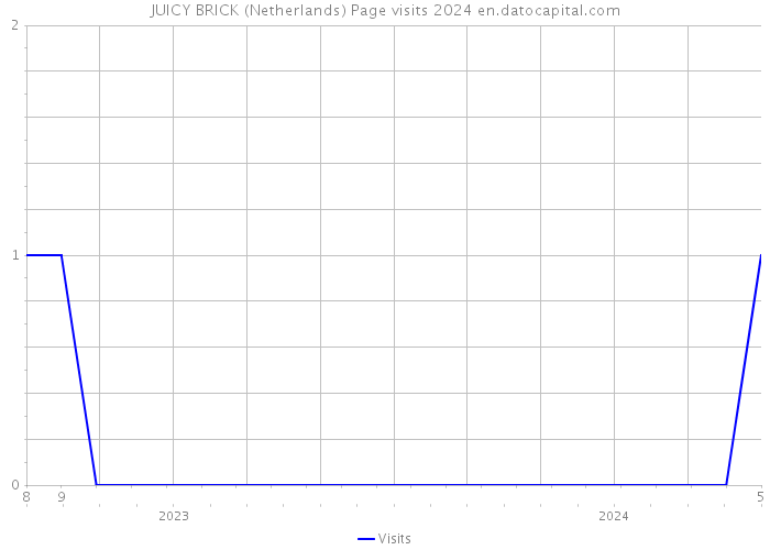 JUICY BRICK (Netherlands) Page visits 2024 