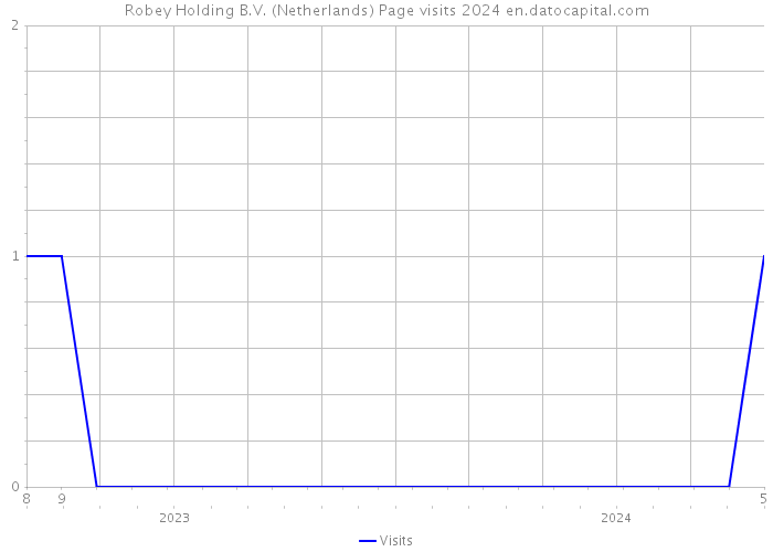 Robey Holding B.V. (Netherlands) Page visits 2024 