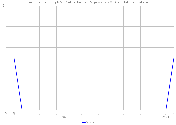 The Turn Holding B.V. (Netherlands) Page visits 2024 