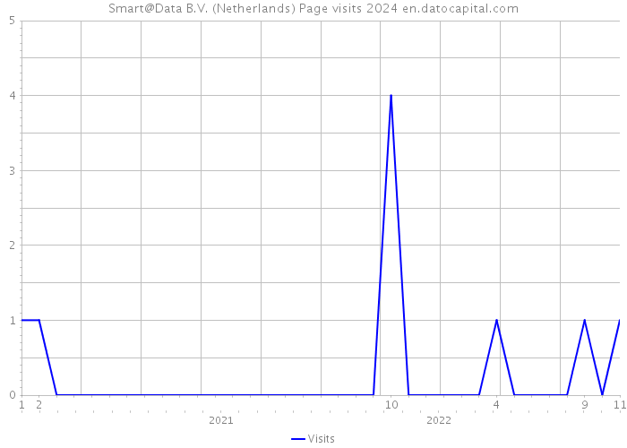 Smart@Data B.V. (Netherlands) Page visits 2024 