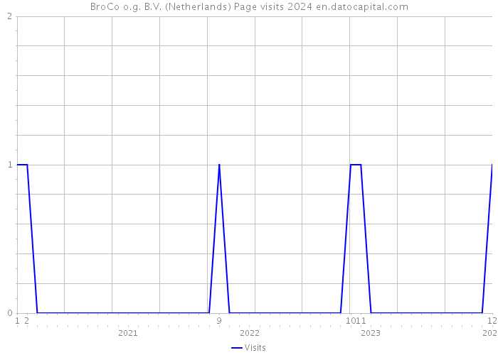 BroCo o.g. B.V. (Netherlands) Page visits 2024 