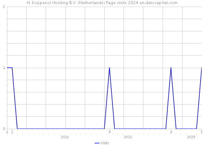 H. Koppenol Holding B.V. (Netherlands) Page visits 2024 