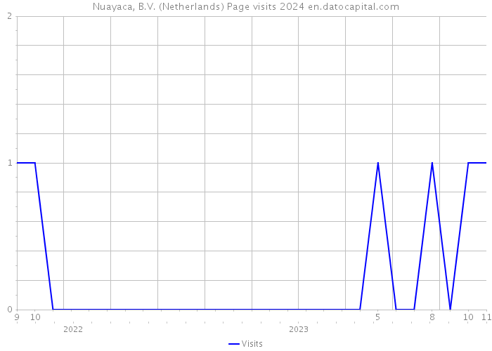 Nuayaca, B.V. (Netherlands) Page visits 2024 