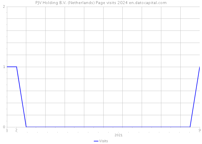 PJV Holding B.V. (Netherlands) Page visits 2024 
