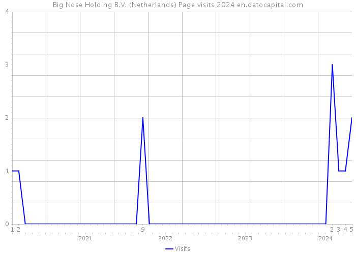 Big Nose Holding B.V. (Netherlands) Page visits 2024 