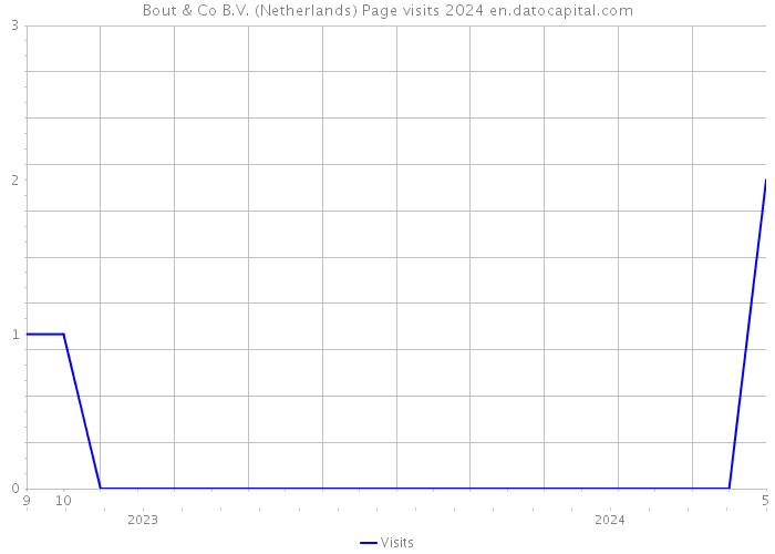 Bout & Co B.V. (Netherlands) Page visits 2024 
