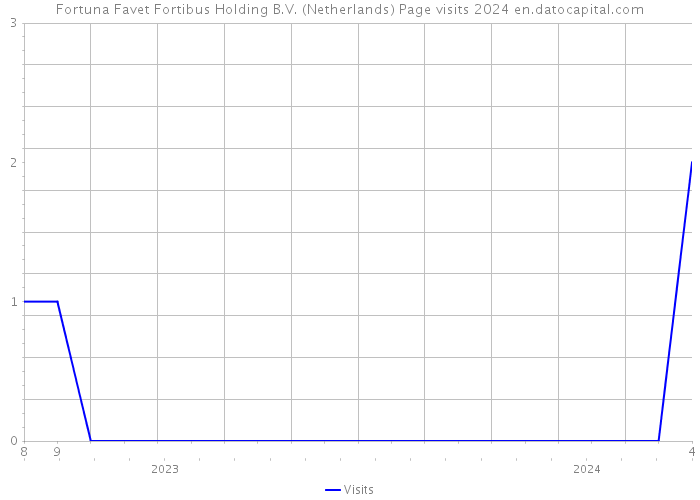 Fortuna Favet Fortibus Holding B.V. (Netherlands) Page visits 2024 