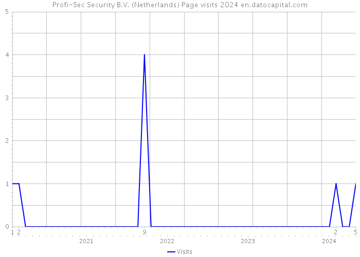 Profi-Sec Security B.V. (Netherlands) Page visits 2024 