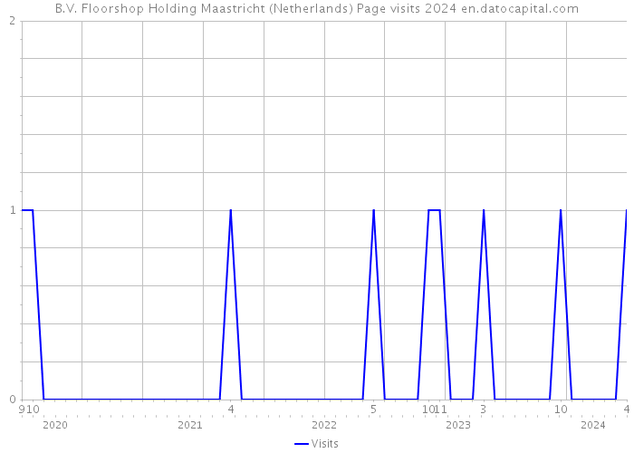 B.V. Floorshop Holding Maastricht (Netherlands) Page visits 2024 