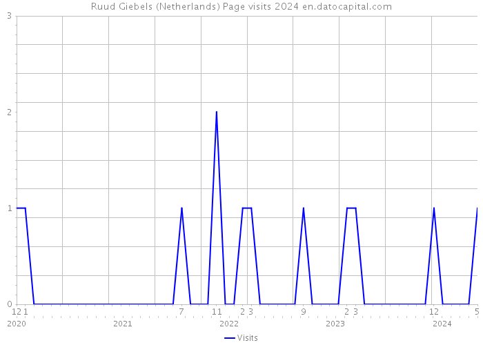 Ruud Giebels (Netherlands) Page visits 2024 