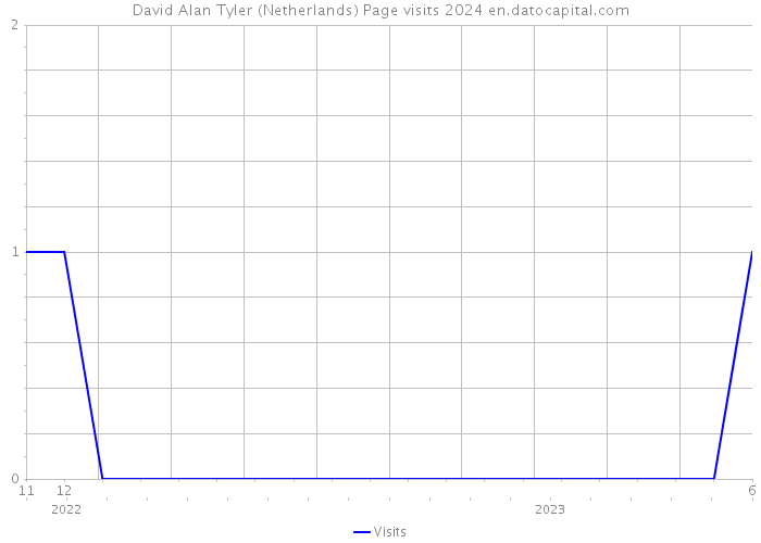 David Alan Tyler (Netherlands) Page visits 2024 