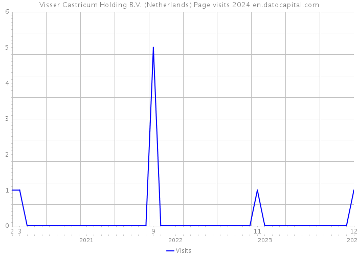 Visser Castricum Holding B.V. (Netherlands) Page visits 2024 