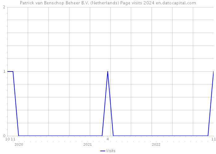 Patrick van Benschop Beheer B.V. (Netherlands) Page visits 2024 