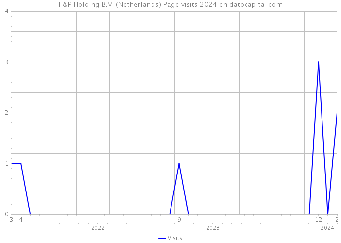 F&P Holding B.V. (Netherlands) Page visits 2024 