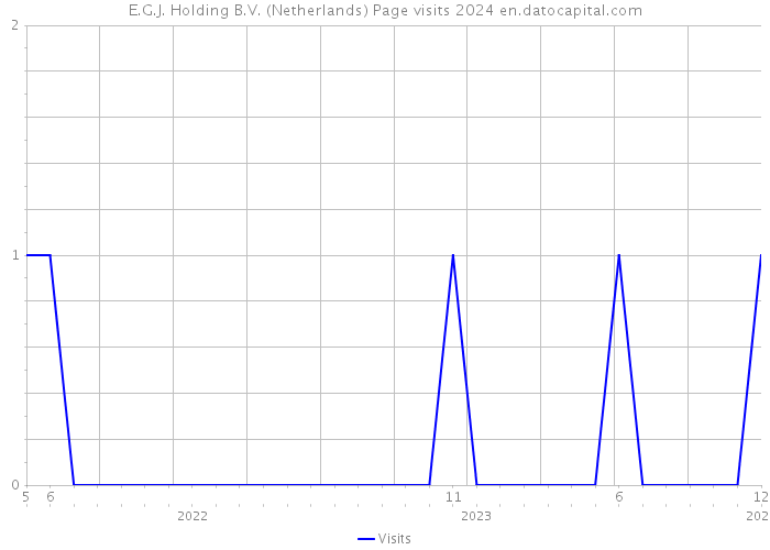 E.G.J. Holding B.V. (Netherlands) Page visits 2024 
