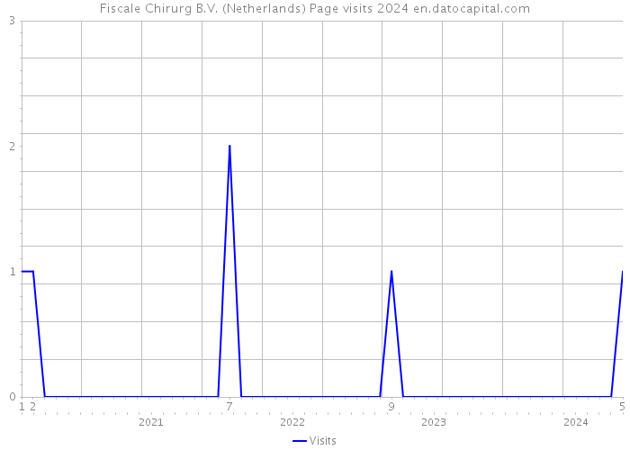Fiscale Chirurg B.V. (Netherlands) Page visits 2024 