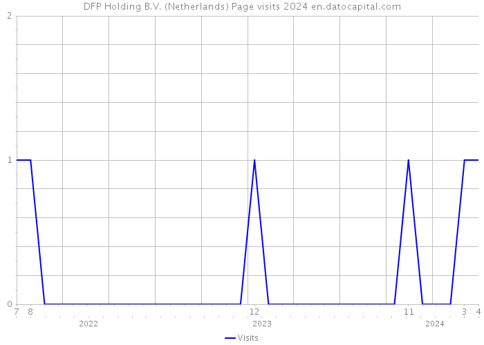 DFP Holding B.V. (Netherlands) Page visits 2024 
