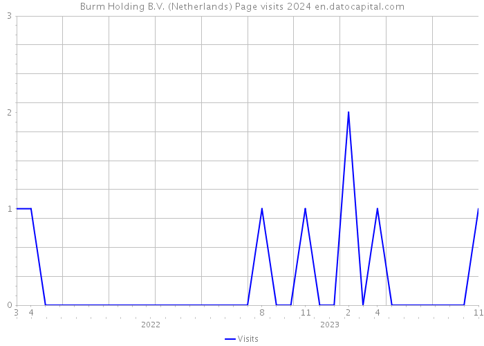 Burm Holding B.V. (Netherlands) Page visits 2024 