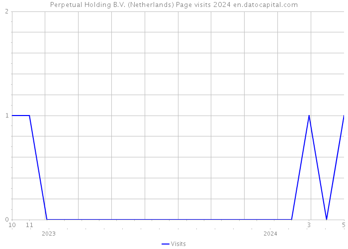 Perpetual Holding B.V. (Netherlands) Page visits 2024 