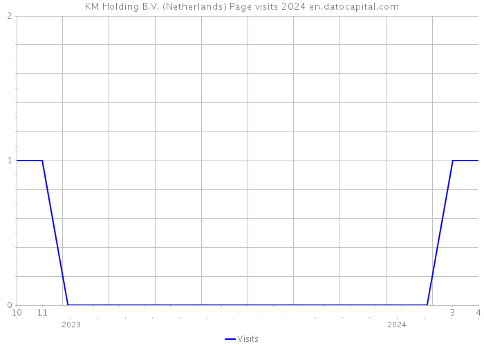 KM Holding B.V. (Netherlands) Page visits 2024 