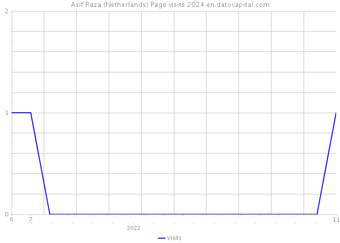 Asif Raza (Netherlands) Page visits 2024 