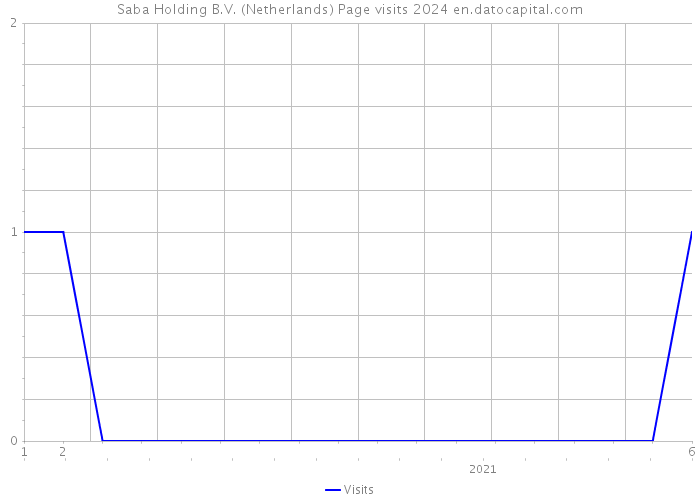 Saba Holding B.V. (Netherlands) Page visits 2024 